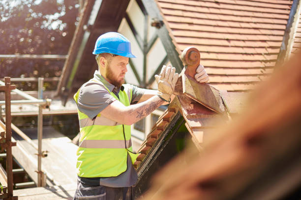 Roof Gutter Cleaning in Brookland, AR